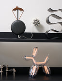 Chrome Silver + Objet Charger (US/Canada)