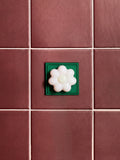 Bundle - Daisy White