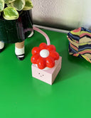 Marigold Orange + Objet Charger (US/Canada)