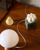Daisy White + Objet Charger (US/Canada)